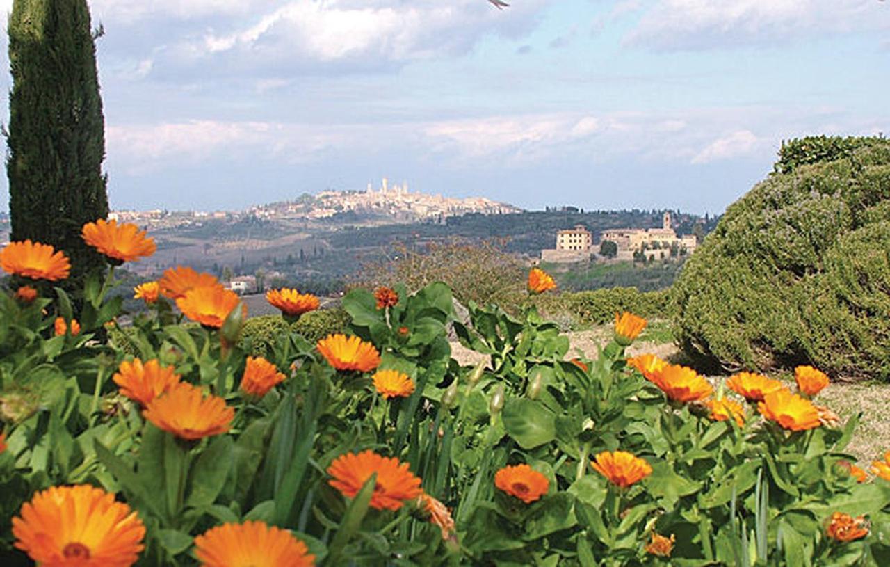 Agriturismo Fattoria Il Piano - Appartamento Stalla - San Gimignano Exteriér fotografie